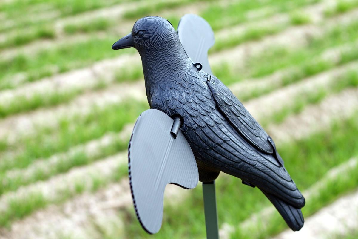 MOJO Motion Decoy Crow Decoy Picture of Huntwise dba MOJO Outdoors MOJO Crow Decoy