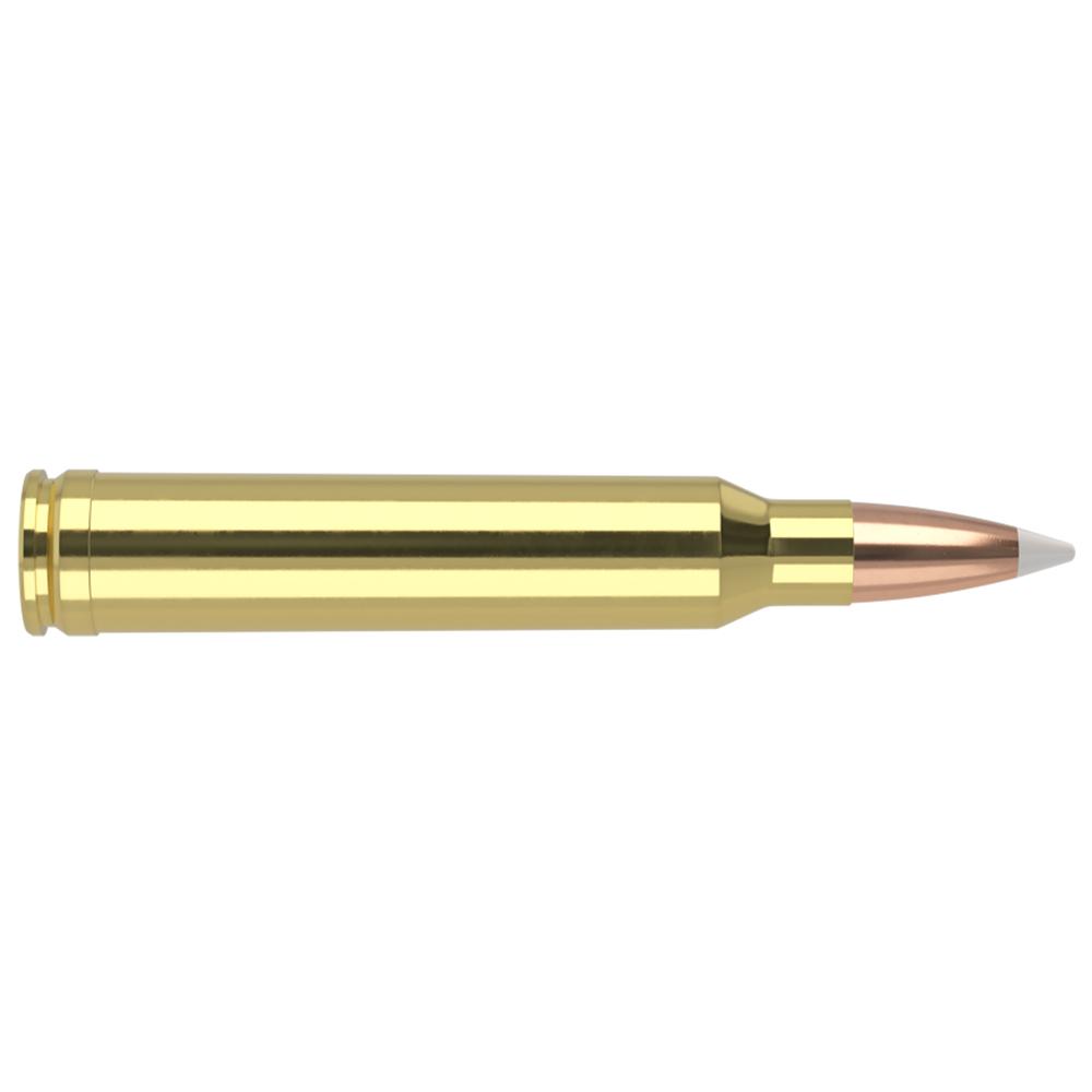 Nosler Accubond Trophy Grade Rifle Ammunition .300 Win Mag 180 gr PT 2950 fps 20/ct Picture of Nosler Bullets Inc. 300 WIN MAG 180GR AB 20CT AMMO