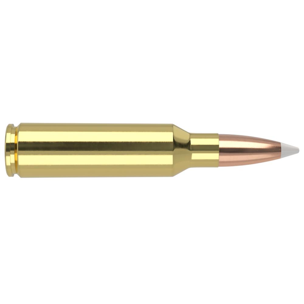 Nosler Accubond Trophy Grade Rifle Ammunition .300 WSM 180 gr PT 2950 fps 20/ct Picture of Nosler Bullets Inc. 300 WSM 180GR AB 20RDBOX AMMO