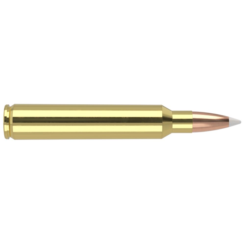 Nosler Accubond Trophy Grade Rifle Ammunition .300 RUM 180 gr PT 3250 fps 20/ct Picture of Nosler Bullets Inc. 300 R.U.M. 180GR AB 20RD AMMO