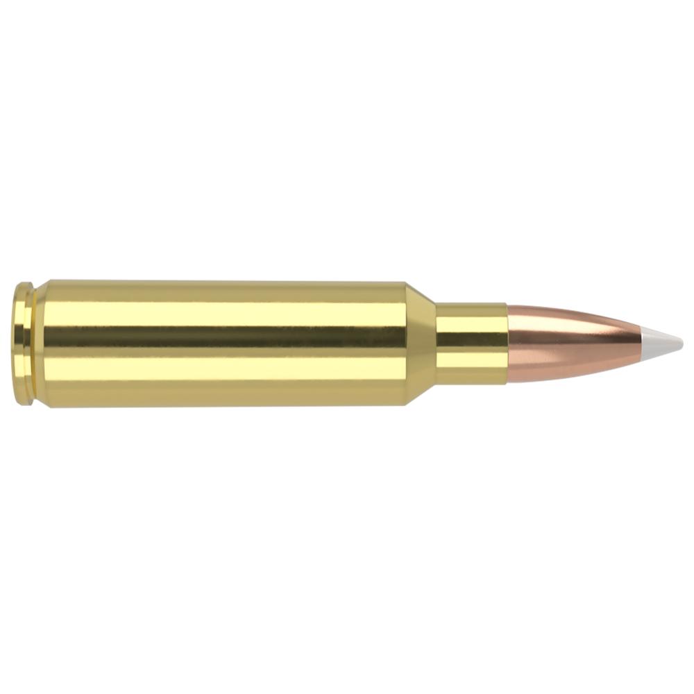 Nosler Accubond Trophy Grade Rifle Ammunition .325 WSM 200 gr PT 2900 fps 20/ct Picture of Nosler Bullets Inc. 325 WSM 200GR AB 20RD BOX AMMO