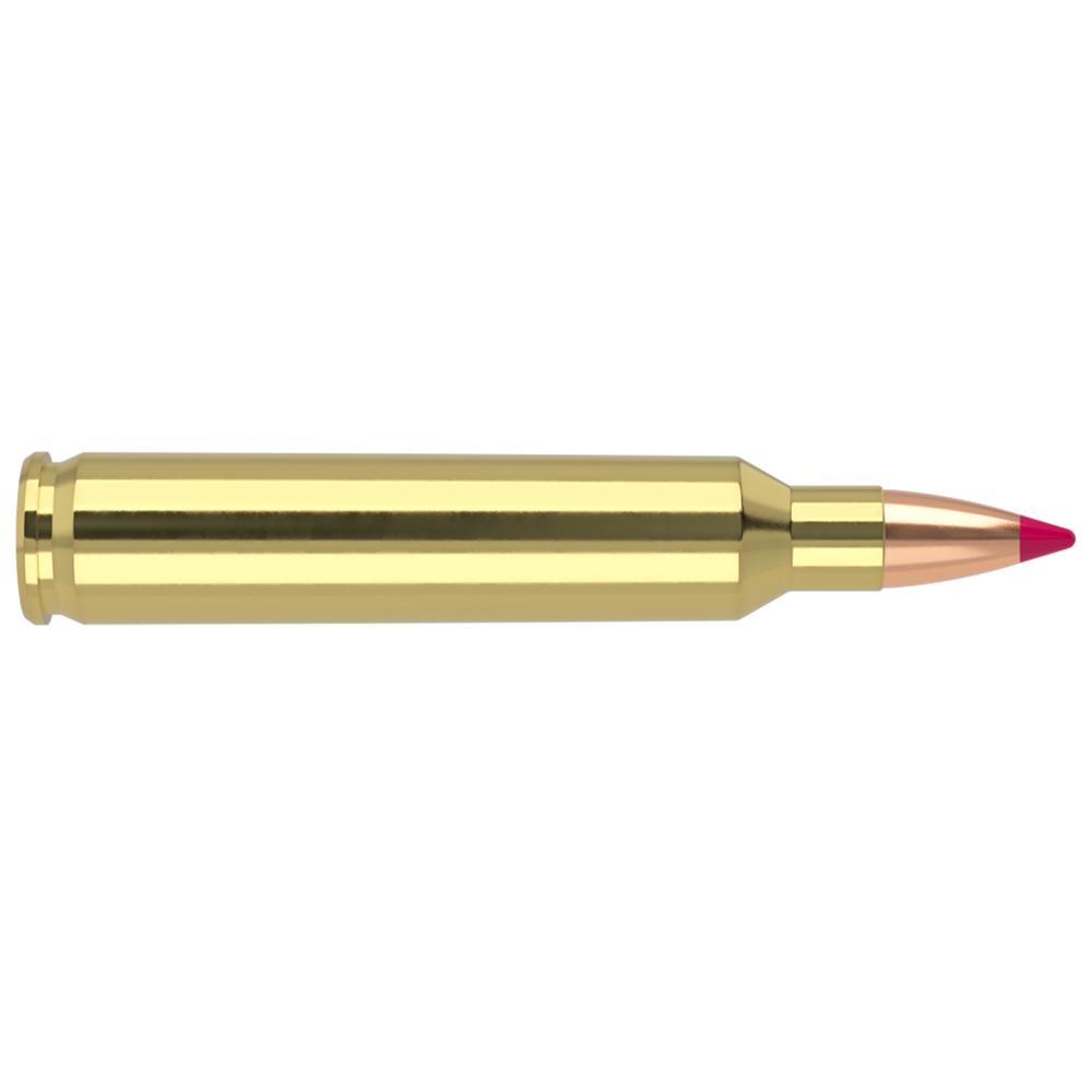 Nosler Ballistic Tip Varmint Rifle Ammunition .204 Ruger 40 gr PT 3625 fps 20/ct Picture of Nosler Bullets Inc. 204 Ruger 40gr Ballistic Tip (20 ct.) Ammunition
