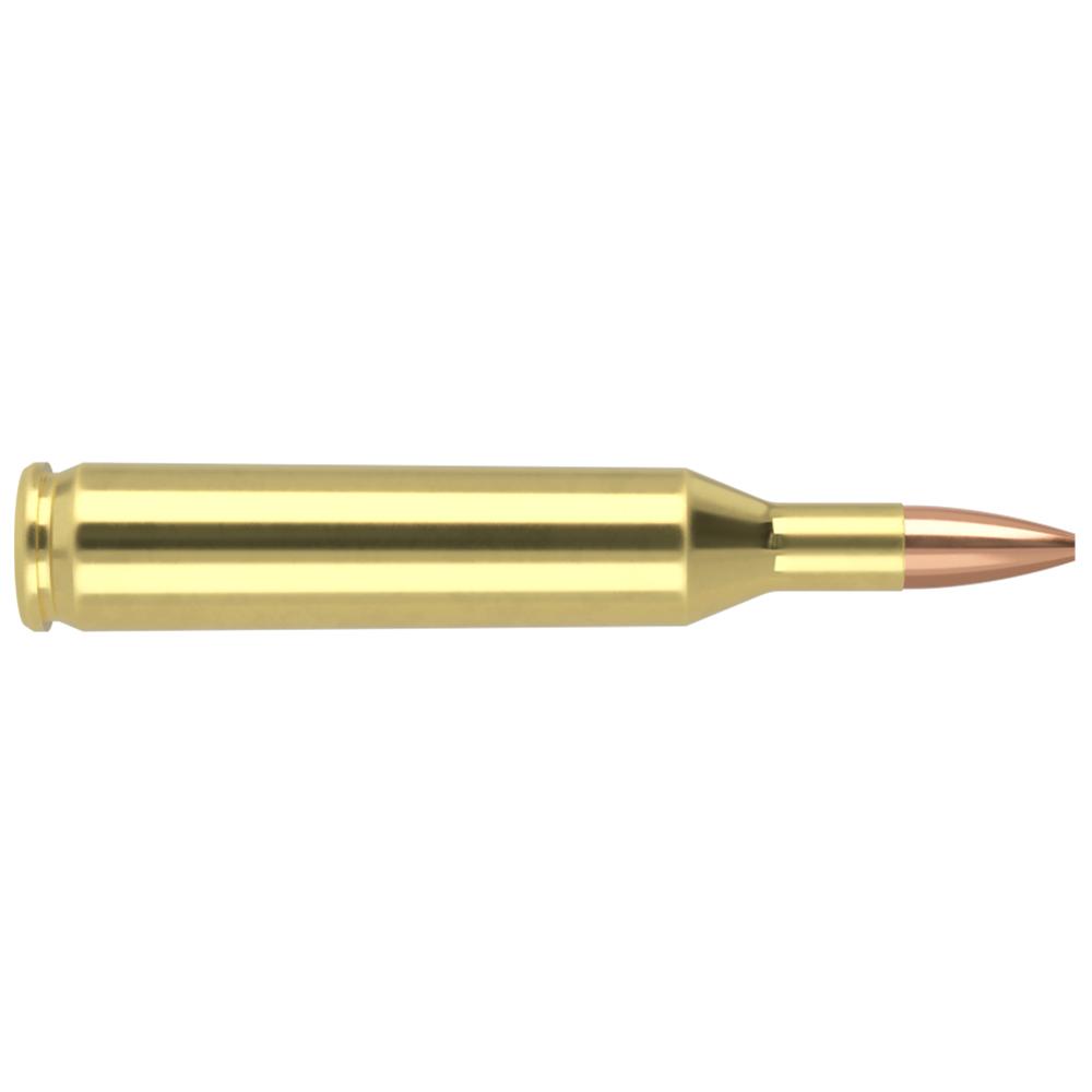 Nosler Varmegeddon Rifle Ammunition .17 Rem 20 gr FBHP 3550 fps 20/ct Picture of Nosler Bullets Inc. 17REM 20GR FBHP 20CT AMMO