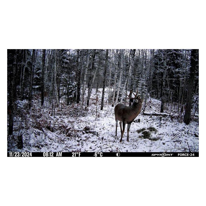 Spypoint FORCE-24 Non-Cellular Trail Camera Picture of GG TELECOM /SPYPOINT Spypoint FORCE-24