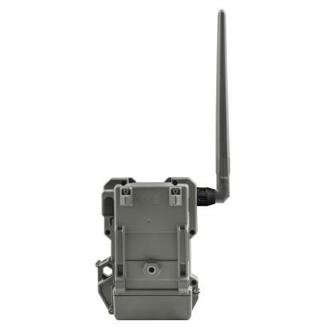 Spypoint FLEX-M Cellular Trail Camera - Twin Pack Picture of GG TELECOM /SPYPOINT Spypoint FLEX-M TWIN PACK Cellular Camera