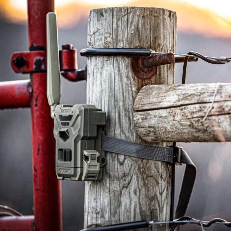 Spypoint FLEX-M Cellular Trail Camera - Twin Pack Picture of GG TELECOM /SPYPOINT Spypoint FLEX-M TWIN PACK Cellular Camera