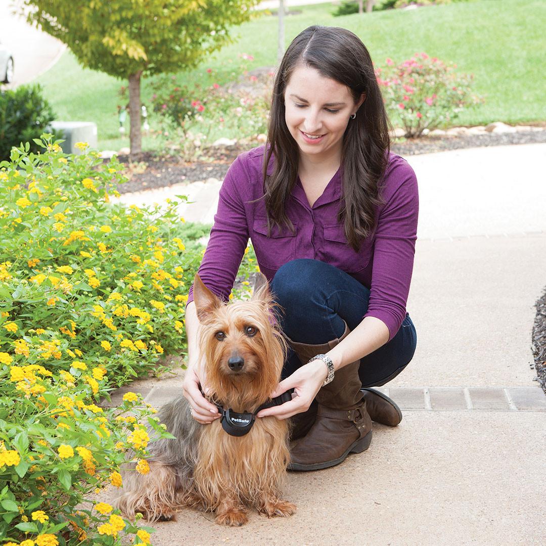 Picture of Radio Systems Corporation dba Sport Dog PetSafe Free to Roam Receiver Collar