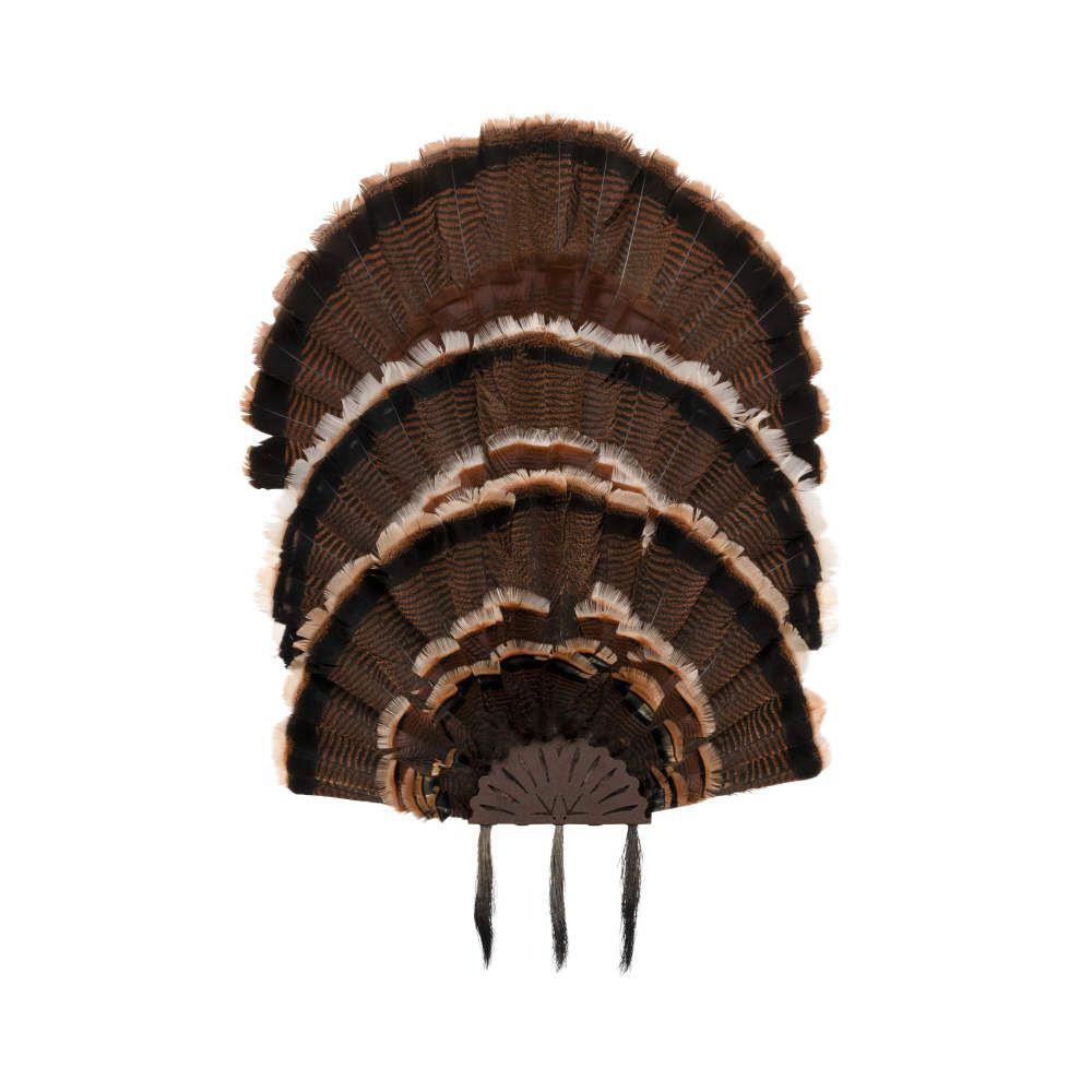 Allen EZ Mount Stackable Turkey Fan and Beard Display Picture of The Allen Company Inc. ALLEN EZ Mount Stackable Turkey Fan & Beard Display Black
