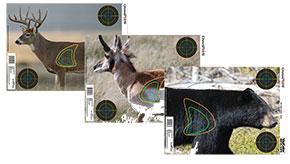 Champion Visicolor Real Life Target - Big Game Picture of Champion VISICOLOR - REAL LIFE - BIG GAME - BEAR DEER & ANTELOPE TARGET
