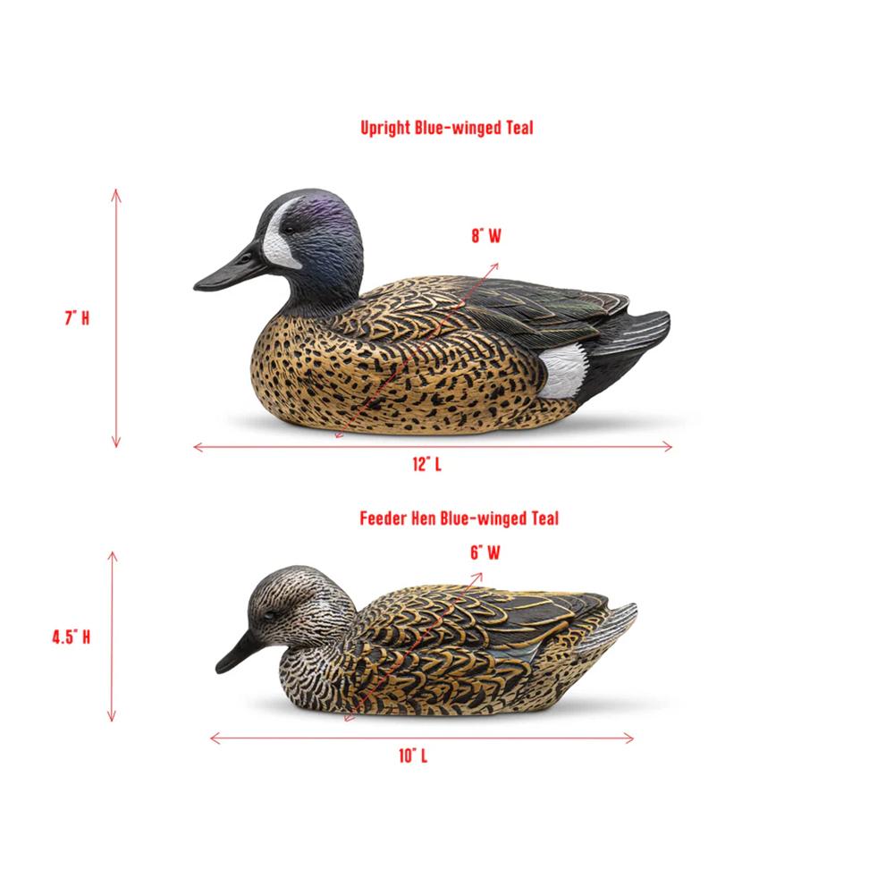 Rig'Em Right Mainline Series Blue-Winged Teal Duck Decoy 12/ct Picture of AdvenTec LLC dba Rig Em Right Outdoors Rig Em Right Blue-Winged Teal - Twelve Pack - EVA