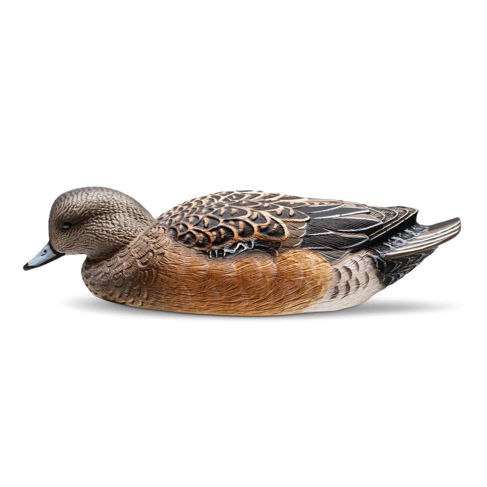 Rig'Em Right Mainline Series Wigeon Duck Decoy 6/ct Picture of AdvenTec LLC dba Rig Em Right Outdoors Rig Em Right Wigeon - Six Pack - EVA