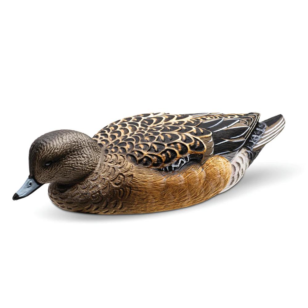 Rig'Em Right Mainline Series Wigeon Duck Decoy 6/ct Picture of AdvenTec LLC dba Rig Em Right Outdoors Rig Em Right Wigeon - Six Pack - EVA