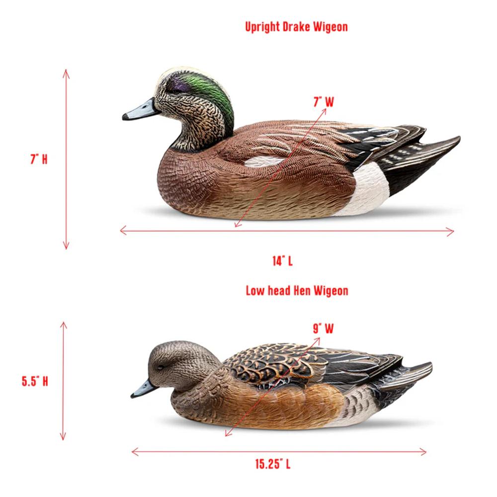 Rig'Em Right Mainline Series Wigeon Duck Decoy 6/ct Picture of AdvenTec LLC dba Rig Em Right Outdoors Rig Em Right Wigeon - Six Pack - EVA