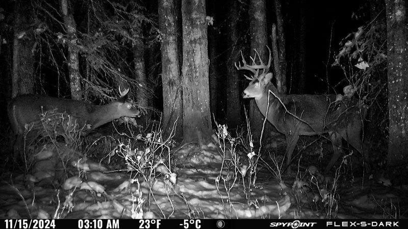 Picture of Tenpoint Crossbow Technologies Tenpoint CenterPunch HPX Carbon Arrows 20'' w/ Alpha-Nock HPX .001''