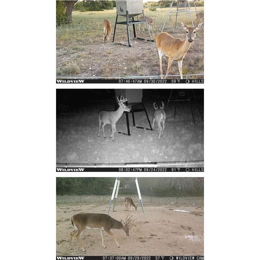 Stealth Cam Wildview 14 Infrared Flash Trail Camera Picture of Gsm Stealth Cam Wildview 14 Trail Camera