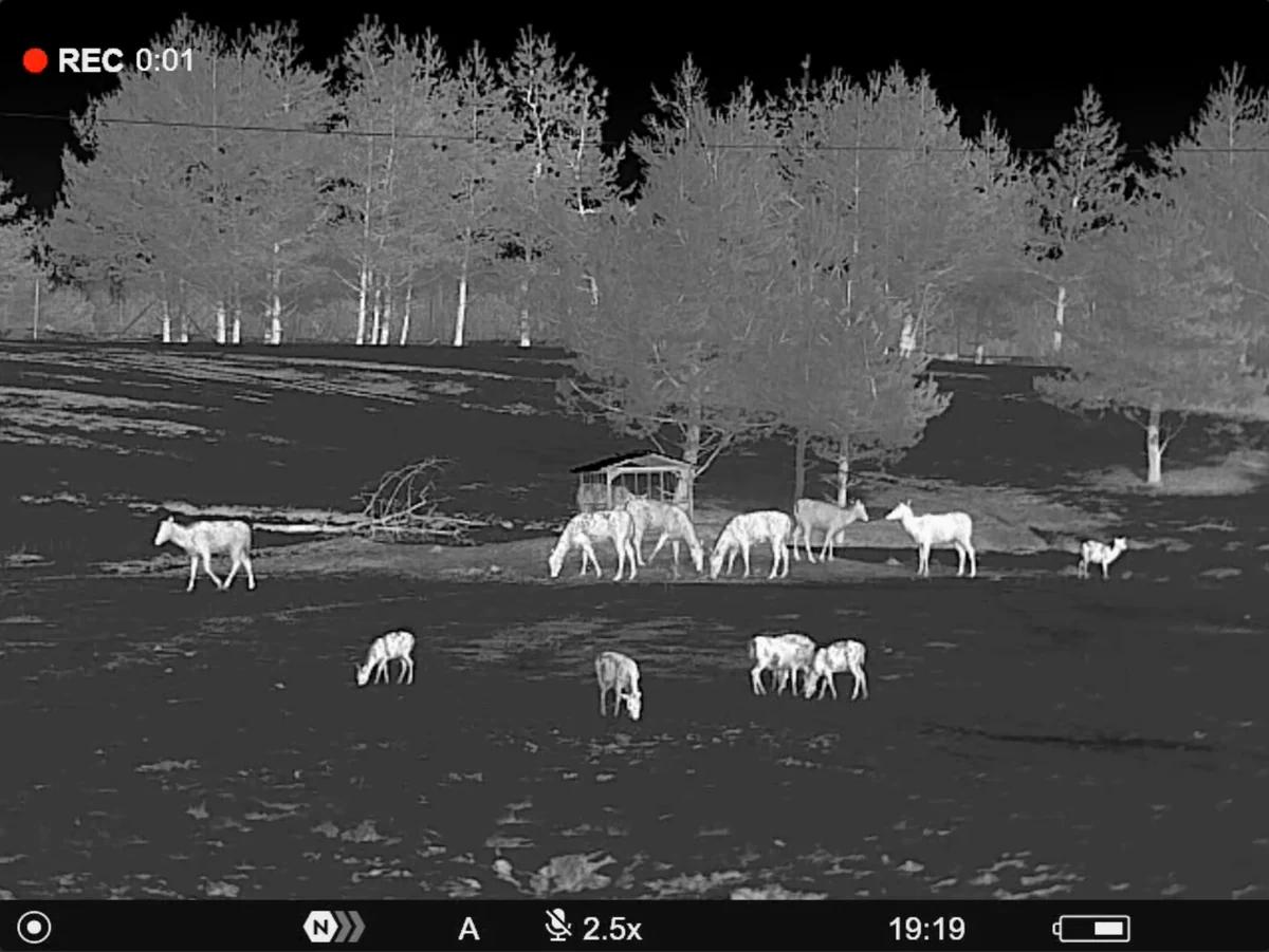 Pulsar Thermal Imaging Monocular Telos LRF XP50 Picture of Sellmark Corporation Pulsar Thermal Binocular Telos LRF XP50