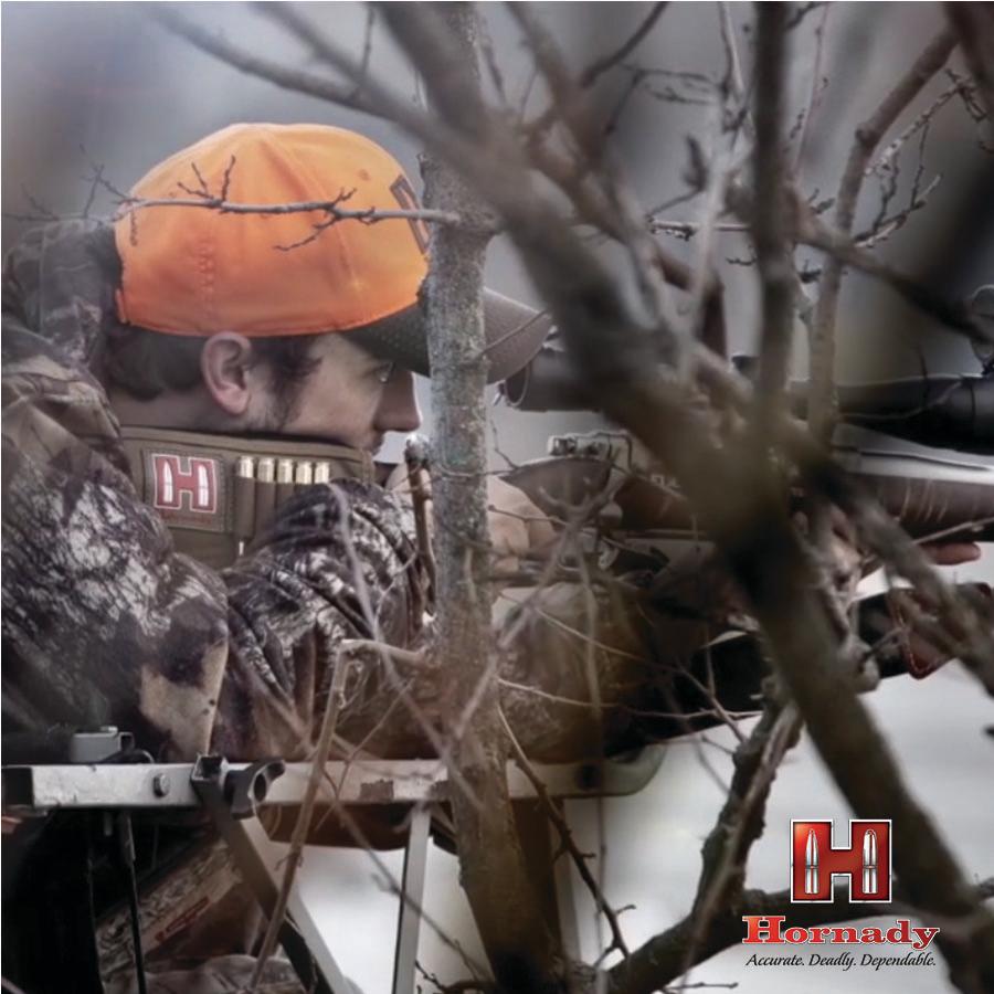 Hornady American Whitetail Rifle Ammunition 6.5 Creedmoor 129 gr. SP 2820 fps 20/ct Picture of Hornady Mfg AMMO AMERICAN WHITETAIL 6.5 CREEDMOOR 129GR INTERLOCK 20RD