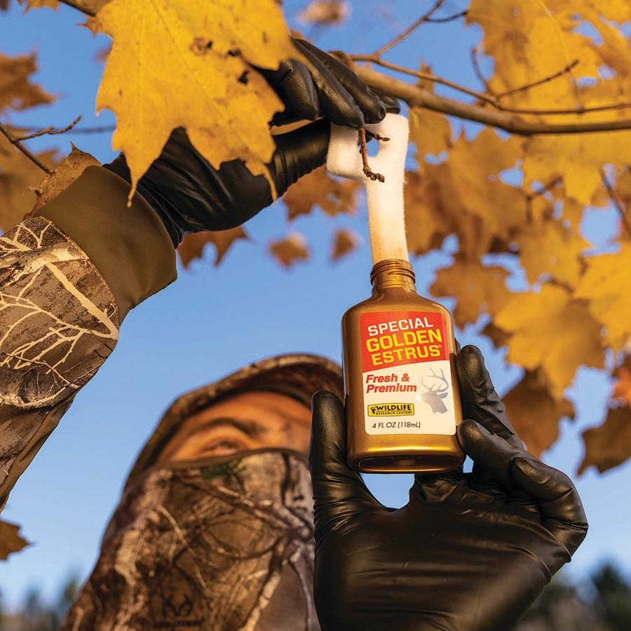 Wildlife Research Special Golden Estrus - Fresh & Super Premium Whitetail Doe Urine with Estrus Secretions 1 FL OZ Picture of Wildlife Research Center SPECIAL GOLDEN ESTRUS 1OZ