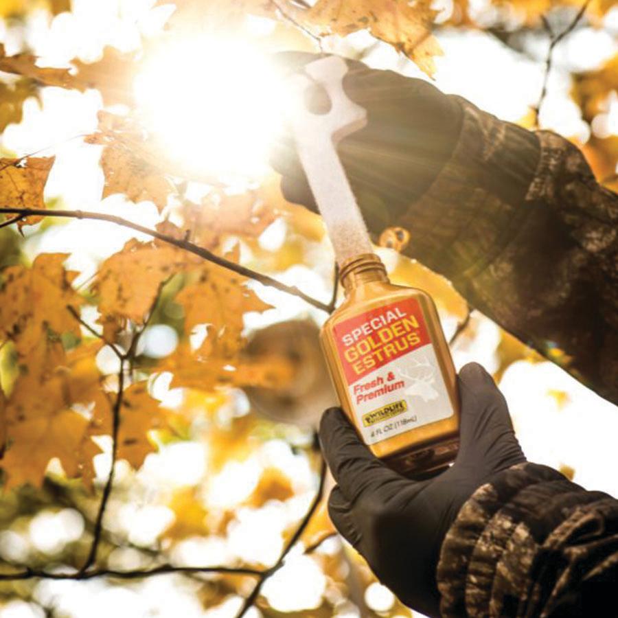 Wildlife Research Special Golden Estrus - Fresh & Super Premium Whitetail Doe Urine with Estrus Secretions 1 FL OZ Picture of Wildlife Research Center SPECIAL GOLDEN ESTRUS 1OZ