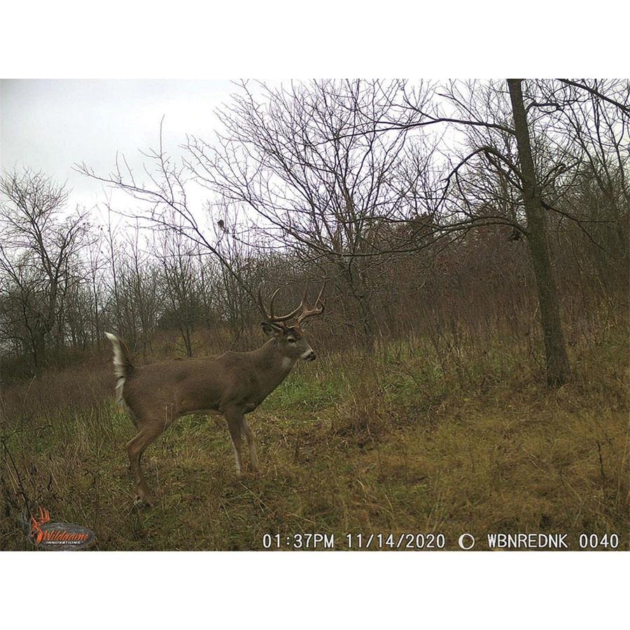 Wildgame Innovations Wraith Family & Friend Sharable Trail Camera 18MP IR Brown Picture of Gsm Wildgame Innovations WRAITH Trail Camera 18MP IR (WR18I8-21)