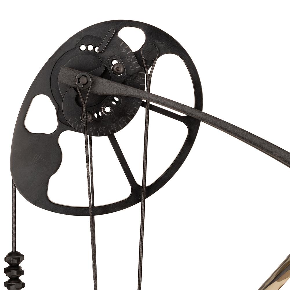 Diamond Archery Radian Compound Bow 305 fps 10-55 lbs RH Mossy Oak Bottomland with Package Picture of Pure Archery Group Dimond Radian Coumpound Bow RH 10-55# Bottomland w/ pkg