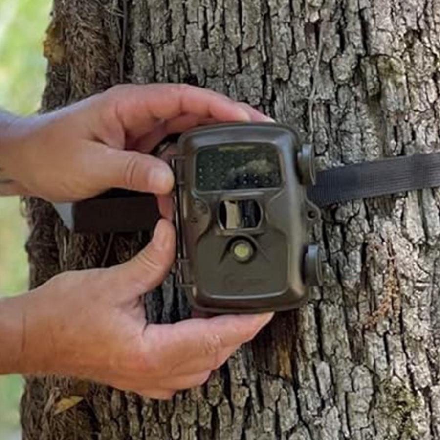 Feradyne Covert Scouting Cameras MP30 Picture of Covert Cameras Covert Scouting Cameras MP30